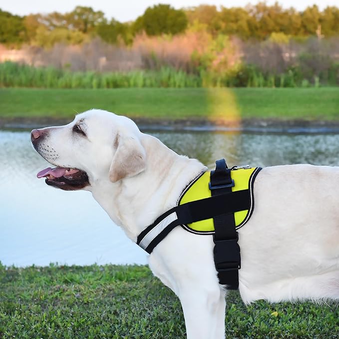 Dogline Dog Harness, Reflective No-Pull Adjustable Vest with Handle, Breathable No-Choke Harness for Small, Medium or Large Dogs Room for Patches Girth 15 to 18 in Lime Green-Mewly Pet