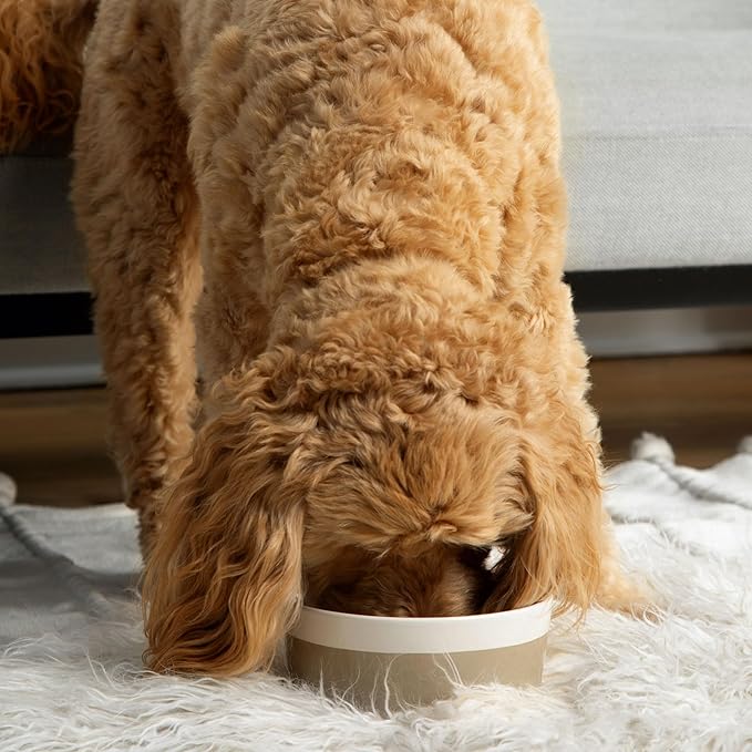 Waggo Dipper Ceramic Dog Bowls - Set of 2 - for Small and Large Breeds - Heavyweight and Durable Pet Food and Water Dish Crock, Dishwasher Safe, Modern (Set of 2, Vintage Grey, Large)-Mewly Pet