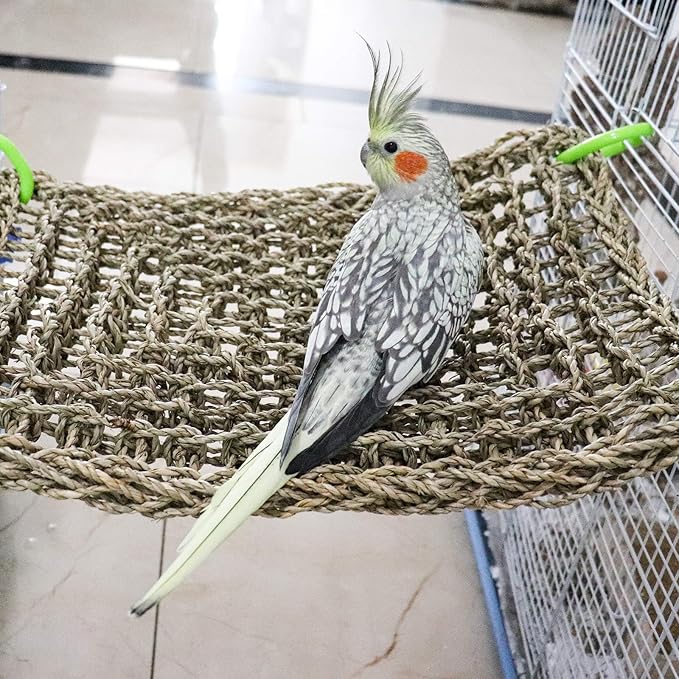 16 x 12 Inches Bird Seagrass Mat, Natural Seagrass Woven Net, Bird Hammock Mat with Hooks, Bird Cage Accessories, Climbing Rope Ladder Chew Toys for Cockatiel Hamster Guinea Pig Rats Hamster Parakeet-Mewly Pet