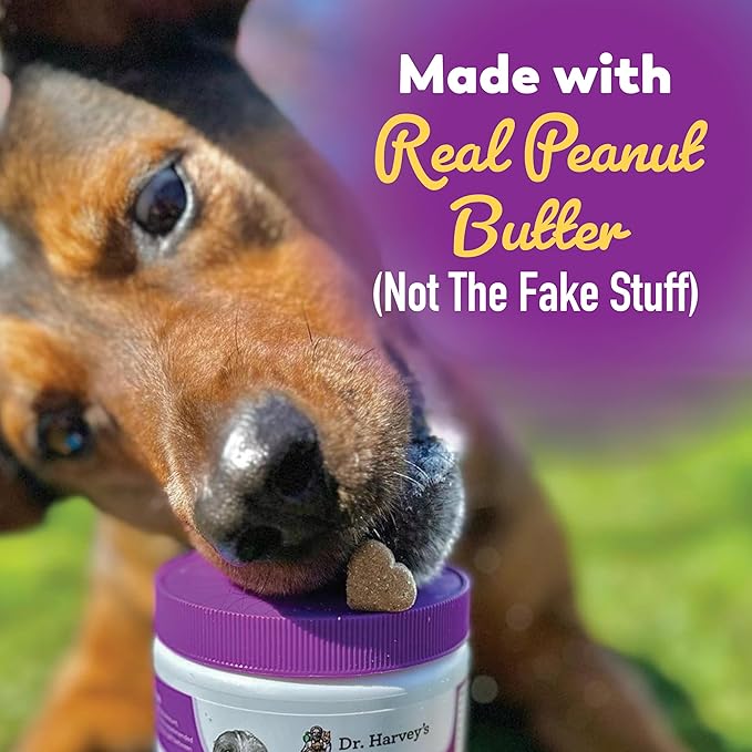 Dr. Harvey's Digestive Probiotic Soft Chews for Dogs, 7 Probiotics for Gut Health, Diarrhea and Bowel Support, Peanut Butter Flavor (90 Chews)-Mewly Pet