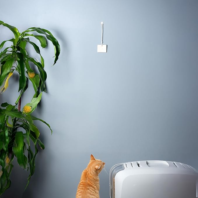 Odin Litter Box Odor Eliminator – Neutralizes Smells at the Source with Patented Tech – Light Citrus Scent – Safe, Long-Lasting, Works with Any Litter-Mewly Pet