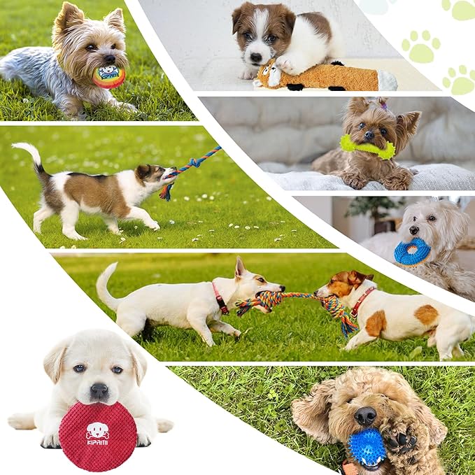 KIPRITII Puppy Toys for Dog Teething -25 Pack Various Puppy Chew Toys with Rope Toys, Dog Treat Balls & Squeaky Toy for Puppy and Small Dogs-Mewly Pet