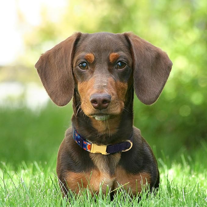 AirTag Dog Collar for Small Medium Large Breed - Adjustable Cute Pattern Dog Collar with Airtag Holder - Soft Leather Tracker GPS Apple Air Tag Pet Collars (X-Large, 20"-25" Neck Fit, Navajo)-Mewly Pet