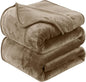 HOZY Soft Twin Size Blanket for All Season Lightweight Thermal Fleece Summer Autumn Fall Winter Spring Blankets for Twin/Twin XL Extra Long Bed Couch Sofa,66x90 Inches,Taupe