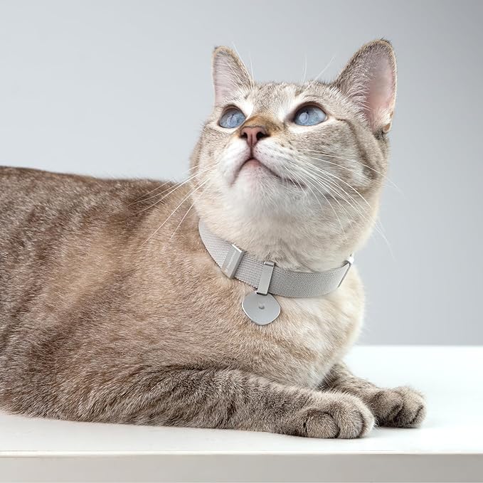 Safety Cat Collar Pro and Tag Set - U.S. IDA Gold Award, Elastic Release Cat Collar Charm Tag, Non Breakaway Cat Collar Adjustable with Charm for Kitten Small Large Cats (Sierra Blue, S)-Mewly Pet