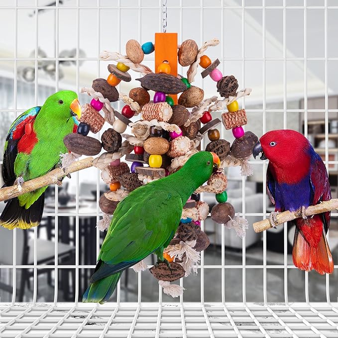 Deloky Large Parrot Bird Chewing Toys, Natural Nuts Corn Parrot Tearing Toy, Wooden Bird Cage Toy for African Grey, Macaws Cokatoos, Amazon Parrots and Other Large Birds-Mewly Pet