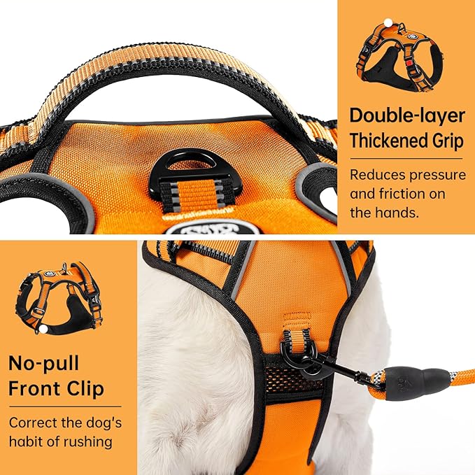 IVY&LANE No Pull Dog Harness for Large Dogs, Dog Vest Harness with Leash, Safety Belt and Storage Strap, Fully Adjustable Harness, 360° Reflective Strip, Soft Handle (Orange, L)-Mewly Pet