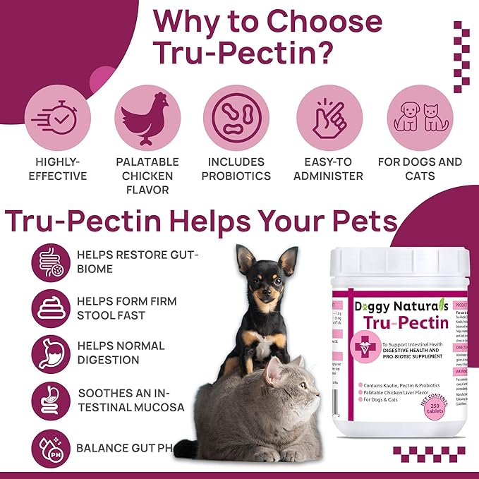 Tru-Pectin Anti-Diarrheal for Dogs & Cats, 250 Tablets– Chicken Liver Flavor –Helps Reduce Occasional Loose Stool & Diarrhea, Balance Gut pH, Support Normal Digestion & Gut Flora -Made in USA-Mewly Pet