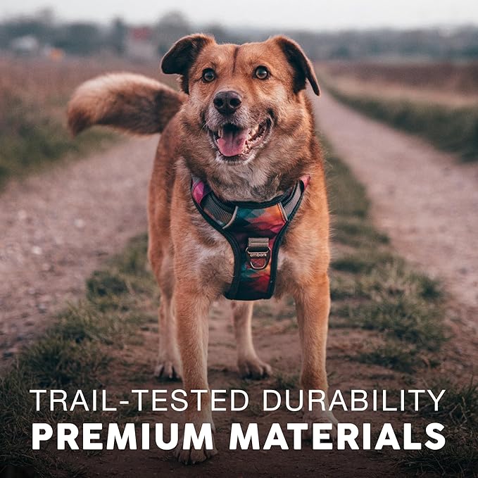 Embark Adventure Dog Harness, No-Pull Reflective Trim Dog Harness for Small, Medium & Large Dogs - Heavy Duty Oxford, 2 Leash Clips & Gel Lined Handle. Soft & Padded Puppy Dog Vest for Any Breed-Mewly Pet