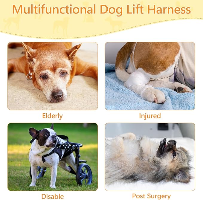 Dog Lift Harness Dog Sling for Large Dogs, Portable Dog Carrier Sling for Back Legs, Ajustable Hip Support Harness for Weak Rear Leg, Assist Senior Disabled Joint Injuried and After ACL-Mewly Pet