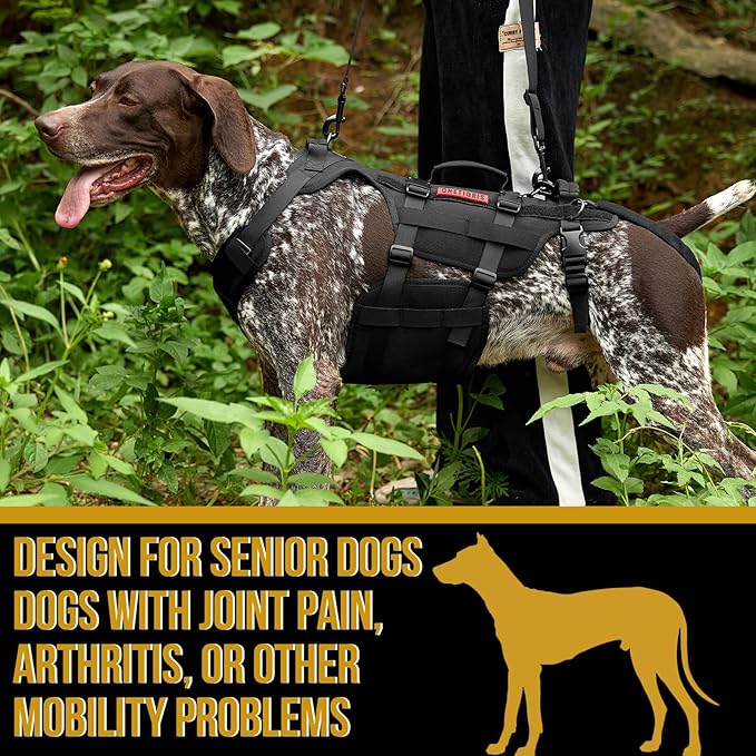 OneTigris Dog Lift Harness for Large Dogs, Dog Hip Support Brace, Full Body Lifter with Handles Invictus Multifunctional Mobility Assistance Vest for Back Legs (Black, Large)-Mewly Pet