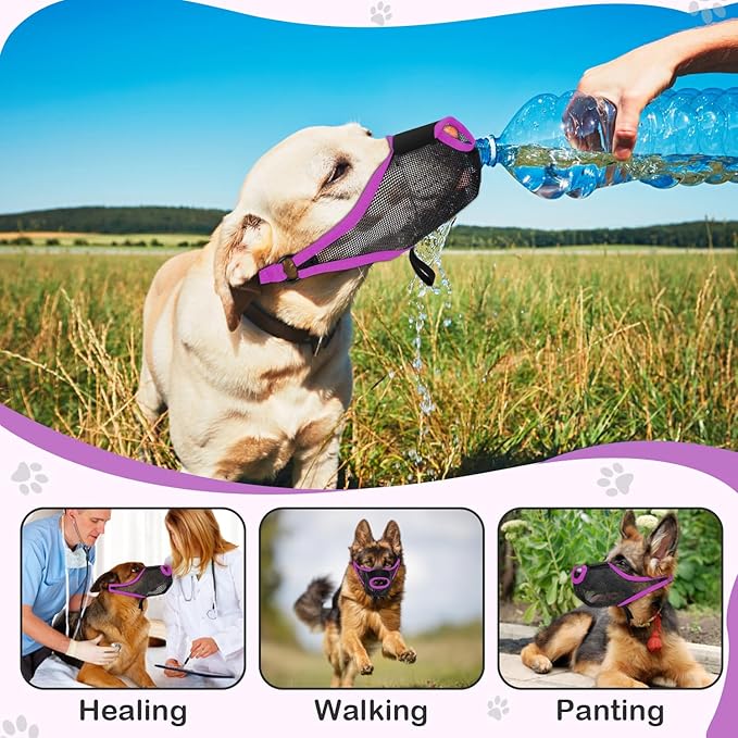 Dog Muzzle, Soft Air Mesh Muzzle for Small Medium Large Dogs Anti Biting Barking Chewing Scavenging, Breathable Adjustable Loop Pets Muzzle with Front Opening Design Allows Panting Drinking(Purple,XL)-Mewly Pet