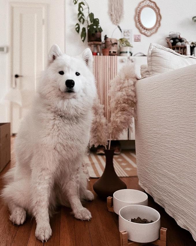 SPUNKYJUNKY Ceramic Dog and Cat Bowl with Wood Stand Non-Slip Matte Glaze Weighted Food Water Set for Cat Medium Dog 28.7 OZ-Mewly Pet