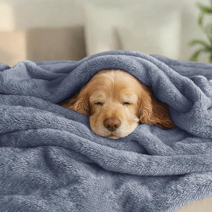 Exclusivo Mezcla Plush Fuzzy Fleece Bed Blanket Twin Size, Super Soft, Fluffy and Warm Blankets, Suitable for All Seasons (Stone Blue, 90x66 Inches)