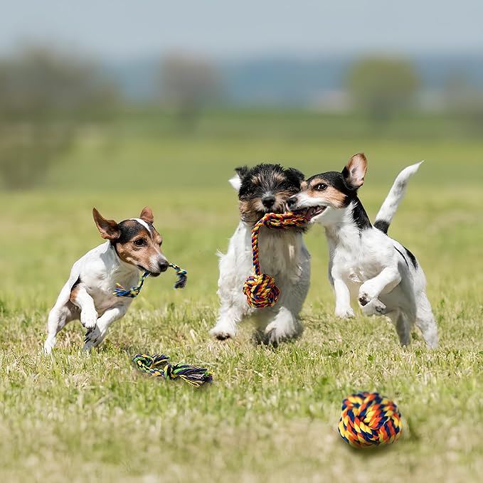 Puppy Teething Toys for Small Dogs, 5 Pack Cotton Puppy Dog Rope Toy for Small Dogs, Durable Dog Chew Toys for Aggressive Chewers Small Breed, Interactive Tug of War Puppy Toys to Keep Them Busy-Mewly Pet