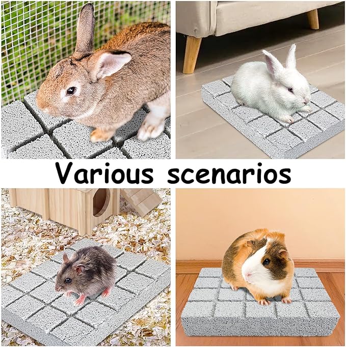 Hamiledyi 10PCS Rabbit Scratching Pad Bunny Lava Grinding Claw Board Small Animal Foot Pad Hamster Chew Toys for Gerbil Chinchilla Hedgehog Guinea Pig Cage Accessories-Mewly Pet