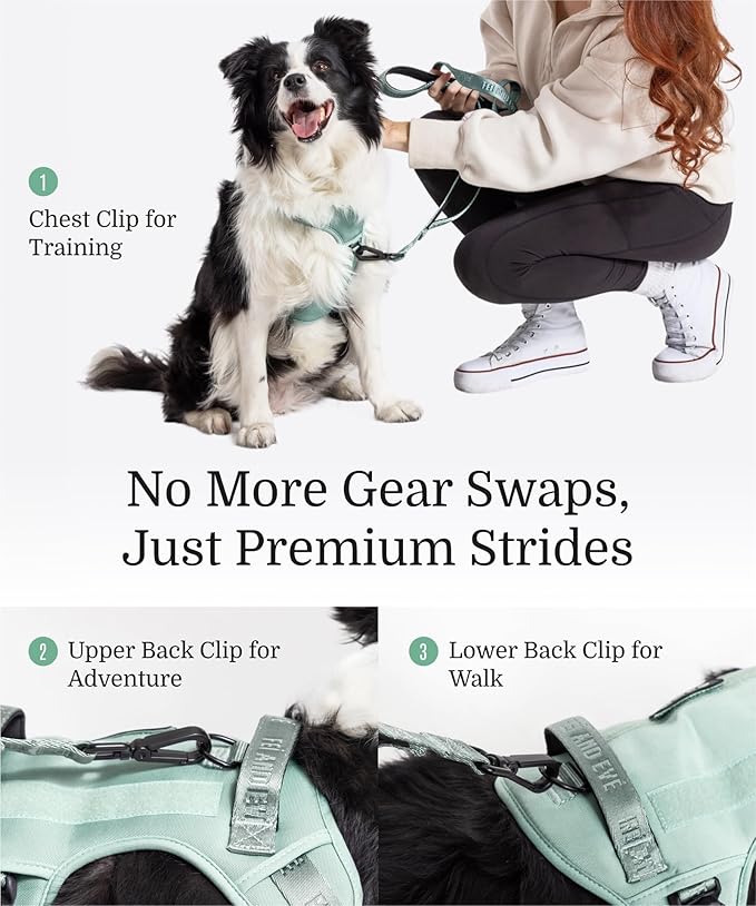 2025 New Edition, Fei & Eve MagEase Dog Harness - 3-Second Magnetic Buckles | 3-Point No-Pull Control | Heavy-Duty 900D Nylon | Dual Safety Handles | Breathable Mesh | Adjustable Fit | Medium, Green-Mewly Pet