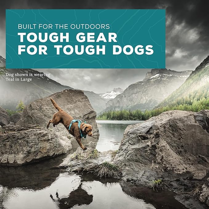 Wilderdog Lightweight Dog Harness with Reflective Straps - Medium - Pacific Blue-Mewly Pet