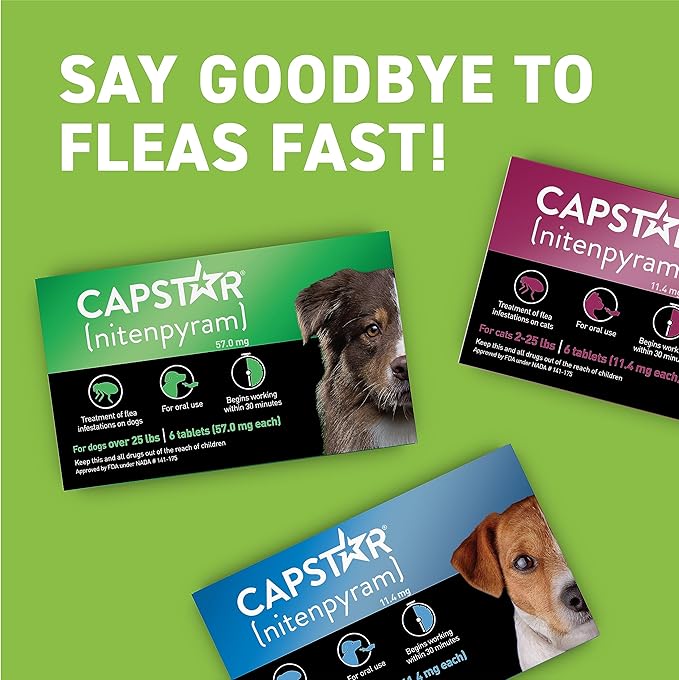 CAPSTAR Oral Flea Treatment for Dogs, Fast Acting Tablets Start Killing Fleas in 30 Minutes, Medium & Large Dogs (Over 25 lbs), 6 Doses-Mewly Pet