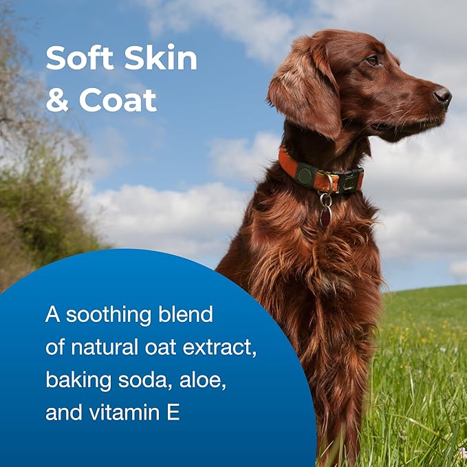 Pet-Ag Fresh ’n Clean Oatmeal ’n Baking Soda Conditioner, Tropical Breeze Scent (15:1 Concentrate) - 1 Gallon - Gently Cleans, Soothes & Deodorizes Dogs with Vitamin E & Aloe Vera - Soap Free-Mewly Pet