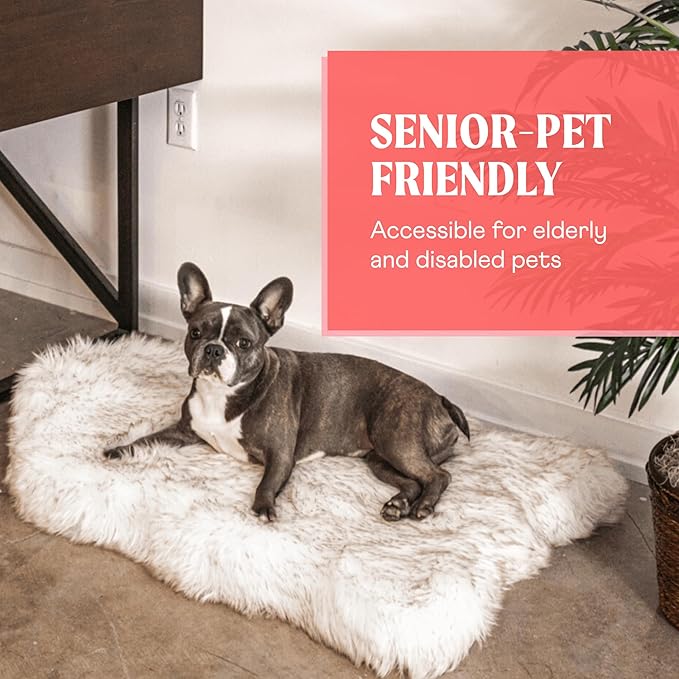 PupRug Orthopedic Dog Bed for Large Dogs with Fluffy Soft Faux Fur and Memory Foam for Joint Pain Relief, Machine Washable and Waterproof Couch Bed, White with Brown Accents, Medium-Mewly Pet