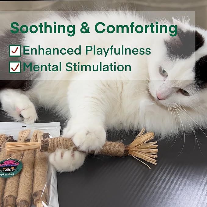 8.66 inches Silvervine Sticks Cat Toys, Natural Catnip Kittens Chew Toy for Teeth Cleaning,Big Catmint Blend Stick, Dental Kitty Chews for Indoor(5 Pack)-Mewly Pet