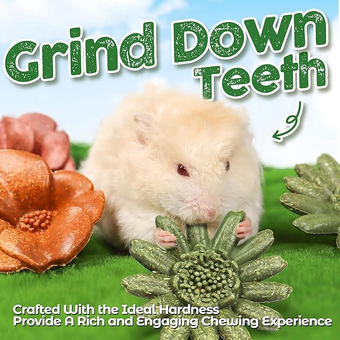 TEEWY 4PCS Guinea Pig Chew Toys, Prevent Teeth Overgrowth, Natural Vegetables and Timothy Grass, Hamster Chew Toys, Guinea Pig Toys, Chinchilla Toys, Grass Patch & Flowers-Mewly Pet