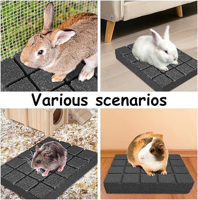 Hamiledyi 10PCS Rabbit Scratching Pads Bunny Lava Grinding Claw Pads Small Animal Foot Pads Hamster Scratch Board Chew Toys for Gerbil Chinchilla Hedgehog Guinea Pig Cage Accessories-Mewly Pet