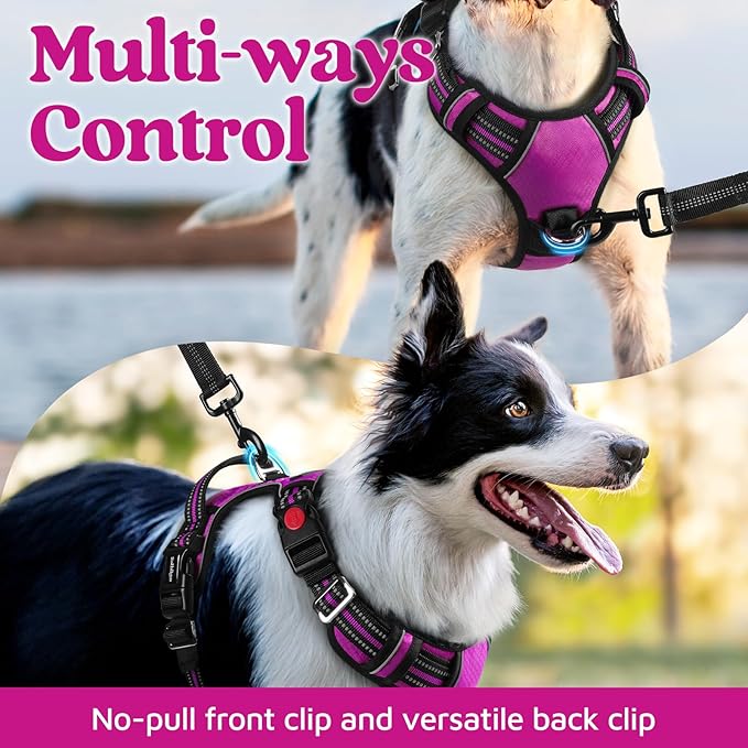 rabbitgoo Dog Harness Small Sized, No Pull Dog Vest with 3 Buckles, Adjustable Soft Padded Pet Harness with Easy Control Handle and Reflective Strips, Purple, S-Mewly Pet