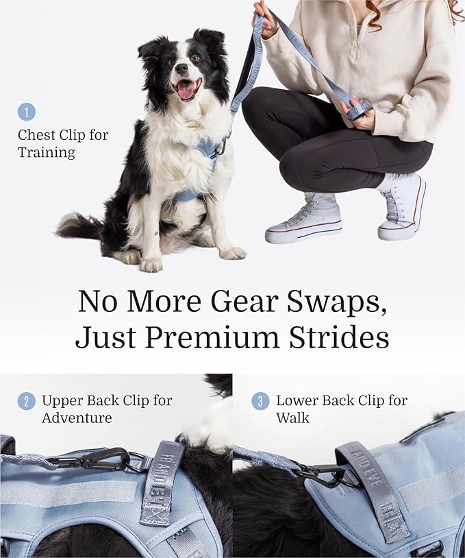 2025 New Edition, Fei & Eve MagEase Dog Harness - 3-Second Magnetic Buckles | 3-Point No-Pull Control | Heavy-Duty 900D Nylon | Dual Safety Handles | Breathable Mesh | Adjustable Fit | Large, Blue-Mewly Pet