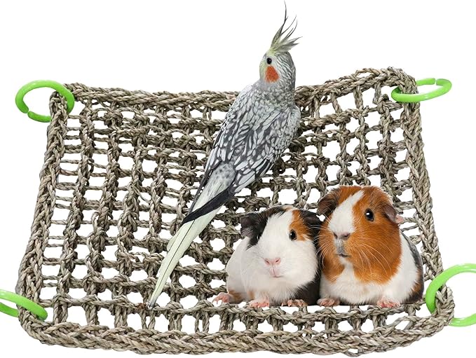 16 x 12 Inches Bird Seagrass Mat, Natural Seagrass Woven Net, Bird Hammock Mat with Hooks, Bird Cage Accessories, Climbing Rope Ladder Chew Toys for Cockatiel Hamster Guinea Pig Rats Hamster Parakeet-Mewly Pet