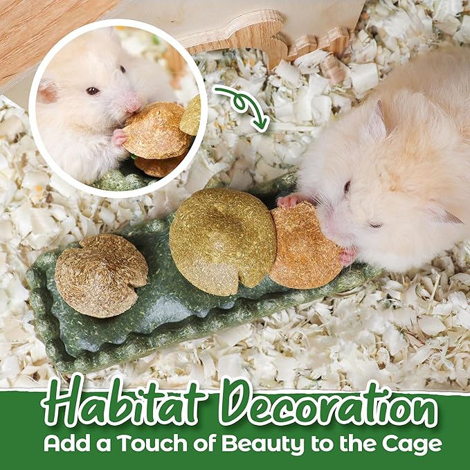 TEEWY 4PCS Guinea Pig Chew Toys, Prevent Teeth Overgrowth, Natural Vegetables and Timothy Grass, Hamster Chew Toys, Guinea Pig Toys, Chinchilla Toys, Grass Patch & Mushrooms-Mewly Pet