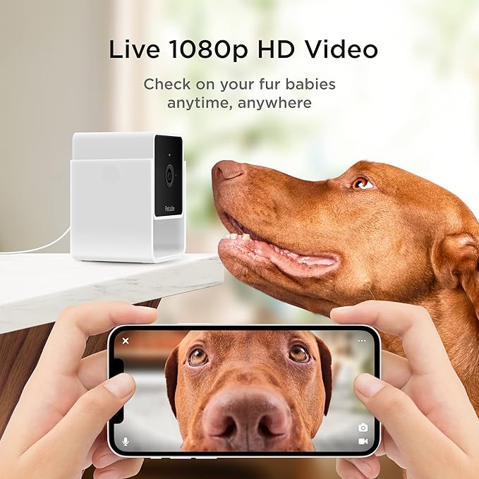 Petcube Cam | Indoor Wi-Fi Pet and Security Camera with Phone App, Pet Monitor with 2-Way Audio and Video, Night Vision, 1080p HD Video and Smart Alerts for Ultimate Home Security-Mewly Pet