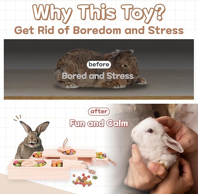 Interactive Wooden Pet Sniff n' Snack Rabbit Chew Toys - Chinchilla & Rabbit Enrichment Toys for Boredom (2 Set)-Mewly Pet