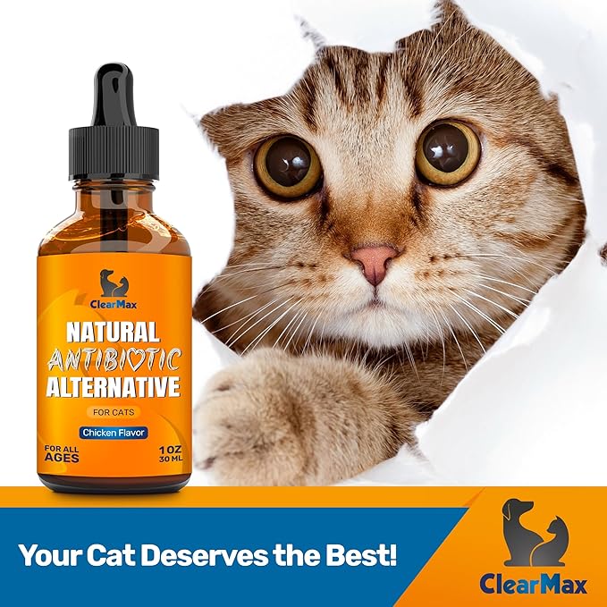 Cat Antibiotic to Help with Cough & Allergies – Antibiotics for Cats to Aid with UTIs and Digestive Moments – HIPS & Joints Support – Attractive Chicken Taste – 1 Oz Bottle-Mewly Pet