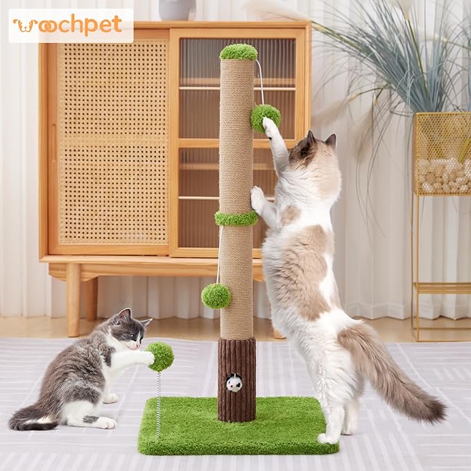 33" Tall Cat Scratching Post for Indoor Cats, Premium Sisal Scratch Posts with Cat Toys and Fun Mouse Holer for Cats at All Ages, Scratcher Tree with Reinforced Stable Base (Green)-Mewly Pet