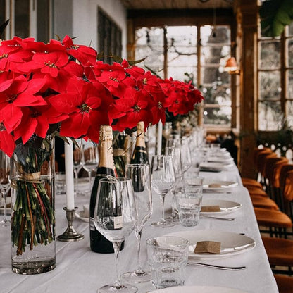 8 Pack Bulk Christmas Artificial Poinsettia Flowers Stem Bouquets Outdoors with 40pcs 8.2 Inch Red Poinsettia Flowers Heads for Christmas Tree, Xmas Garland, Vase, Window Box, Porch Decorations