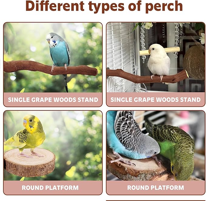 5PCS Bird Perch Stand Natural Wooden Parrot Stand Branch,3 Grape Wood Perch,2 Platform,Paw Grinding Fork Parakeet Chewing Stick Exercise Training Branches for Cockatiels,Small Birds-Mewly Pet