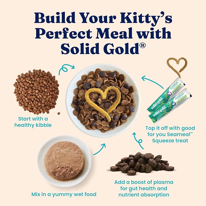 Solid Gold Wet Food Pate Flavorful Feast - 3 Count Sample Pack - Canned Cat Food Made with Real Chicken - Grain Free for Sensitive Stomach & Healthy Living-Mewly Pet