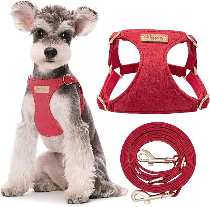 Puppytie No Pull Small Dog Harness with Multifunction Dog Leash,Lightweight Soft Adjustable No Choke Escape Proof Pet Harness Vest Pet Harness Vest,red-Camellia,S-Mewly Pet