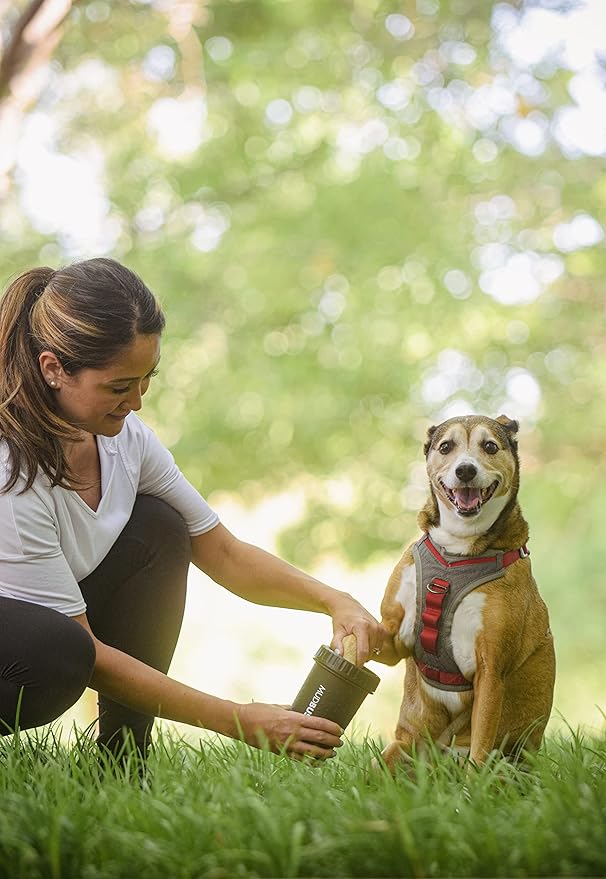Dexas Medium Dog Paw Cleaner, Matte Black - Premium Quality Pet Supplies and Dog Accessories - Easy to Use and Clean MudBuster for Dogs - Patented Product - BPA Free-Mewly Pet