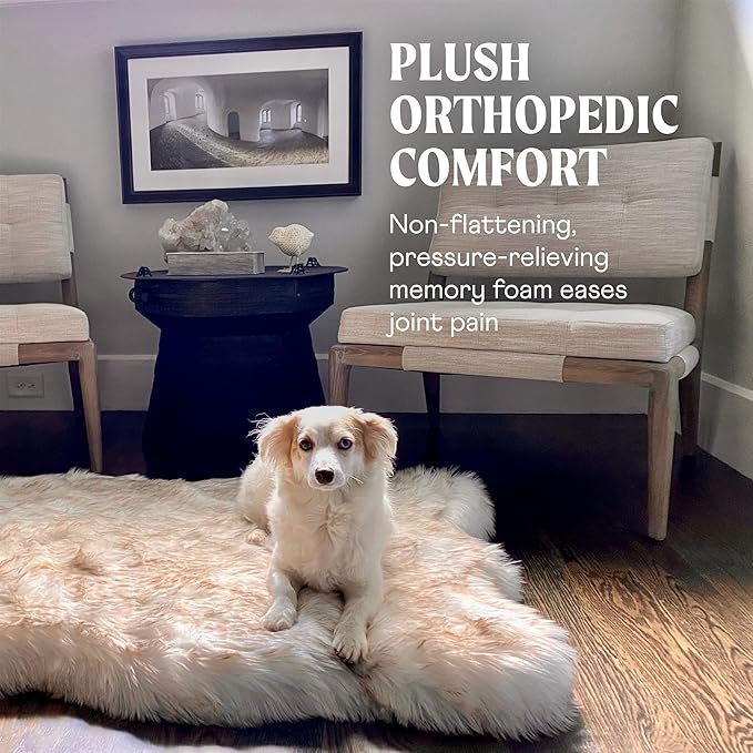 PupRug Orthopedic Dog Bed for Large Dogs with Fluffy Soft Faux Fur and Memory Foam for Joint Pain Relief, Machine Washable and Waterproof Couch Bed, White with Brown Accents, Large/Extra Large-Mewly Pet