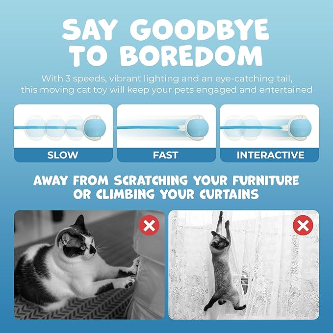 Pawlo Speedy Tail 2.0 Cat Toy –Teazys Turbo Tail Upgrade – Interactive Cat Toy – Kitten Toys – Automatic cat Toy for Boredom – Moving cat Toys for Indoor Cats with 2 Tails (Blue)-Mewly Pet