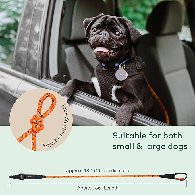 Dog Seat Belt for Car | Universal Dog Car Seatbelt | Durable Reflective Rope with Clip Hook Latch, Buckle and Carabiner- Safe and Secure Pet Safety Restraint (Orange)-Mewly Pet