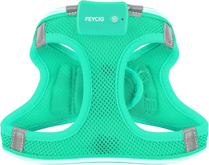Light Up Dog Harness,Rechargeable LED Dog Harness for Small Medium Large Dogs,Reflective Lighted Safety Vest for Night Walking & Camping,Lightweight & Adjustable,Light Green,S-Mewly Pet