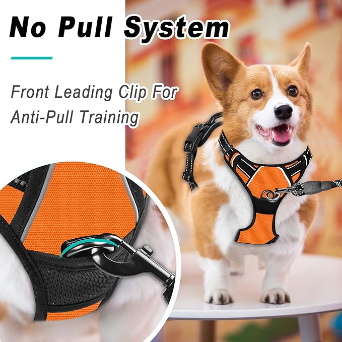 BARKBAY No Pull Dog Harness Large Step in Reflective Dog Harness with Front Clip and Easy Control Handle for Walking Training Running(Orange,M)-Mewly Pet
