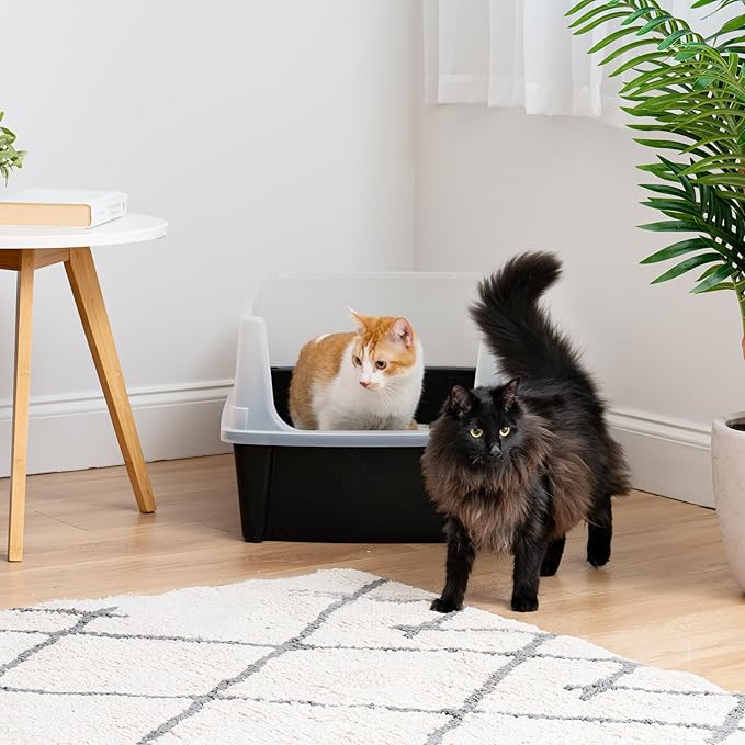 IRIS USA XX-Large Cat Litter Box, Open Top Extra Large Litter Box for Big Cats and Multi-Cat Households, High Sided Scatter Shield, Easy to Clean, 30" L x 20" W x 14" H, Black-Mewly Pet
