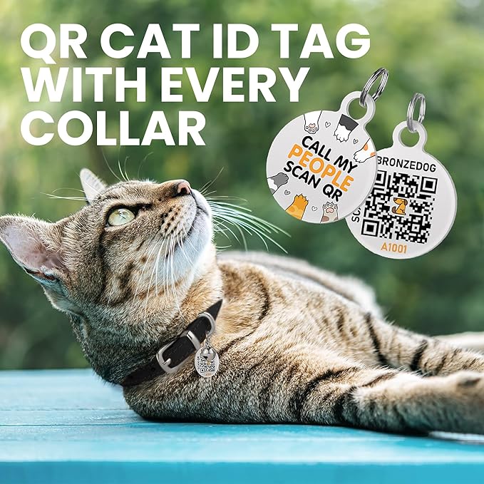 BRONZEDOG Leather Cat Collar with Removable Bells Non Breakaway Kitten QR Tag for Girl Boy (7" - 9" for Cats, Black & Silver)-Mewly Pet