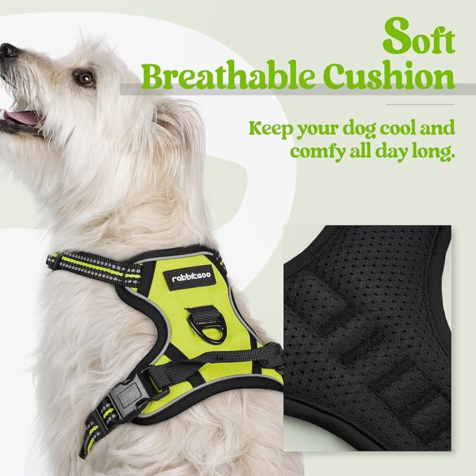 rabbitgoo Dog Harness No Pull with 2 Leash Clips, Adjustable Soft Padded, Reflective Oxford No Choke Pet Vest with Easy Control Handle for Puppy, Green, XS-Mewly Pet