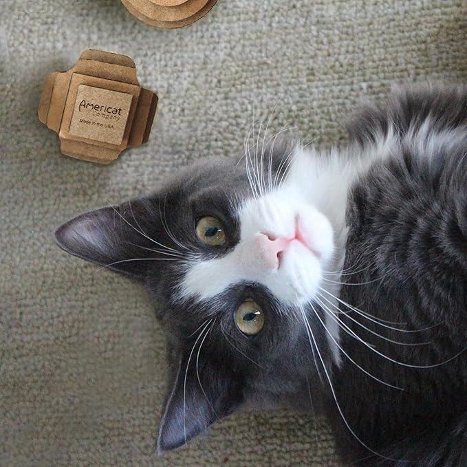 Cat Ball Toys by Americat – Made in USA – Safe Cardboard Cat Toys – for Interactive and Independent Play, Exercise & Stress Relief for All Breeds & Ages (Variety Pack of 3 Balls)-Mewly Pet